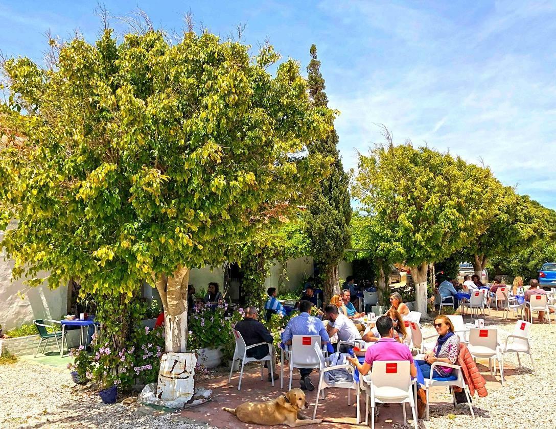 Hospederia Restaurante Tarin Ξενοδοχείο Los Canos De Meca Εξωτερικό φωτογραφία